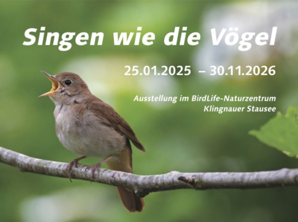 Wie viele Vogelstimmen kennen Sie? - LEBENSRAUM AARGAU - Mit der gemeinnützigen Stiftung der AKB soziale, kulturelle und ökologische Projekte realisieren 1